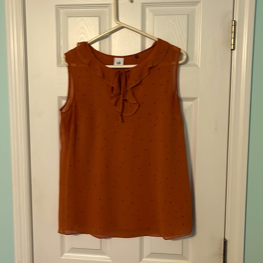 CAbi blouse